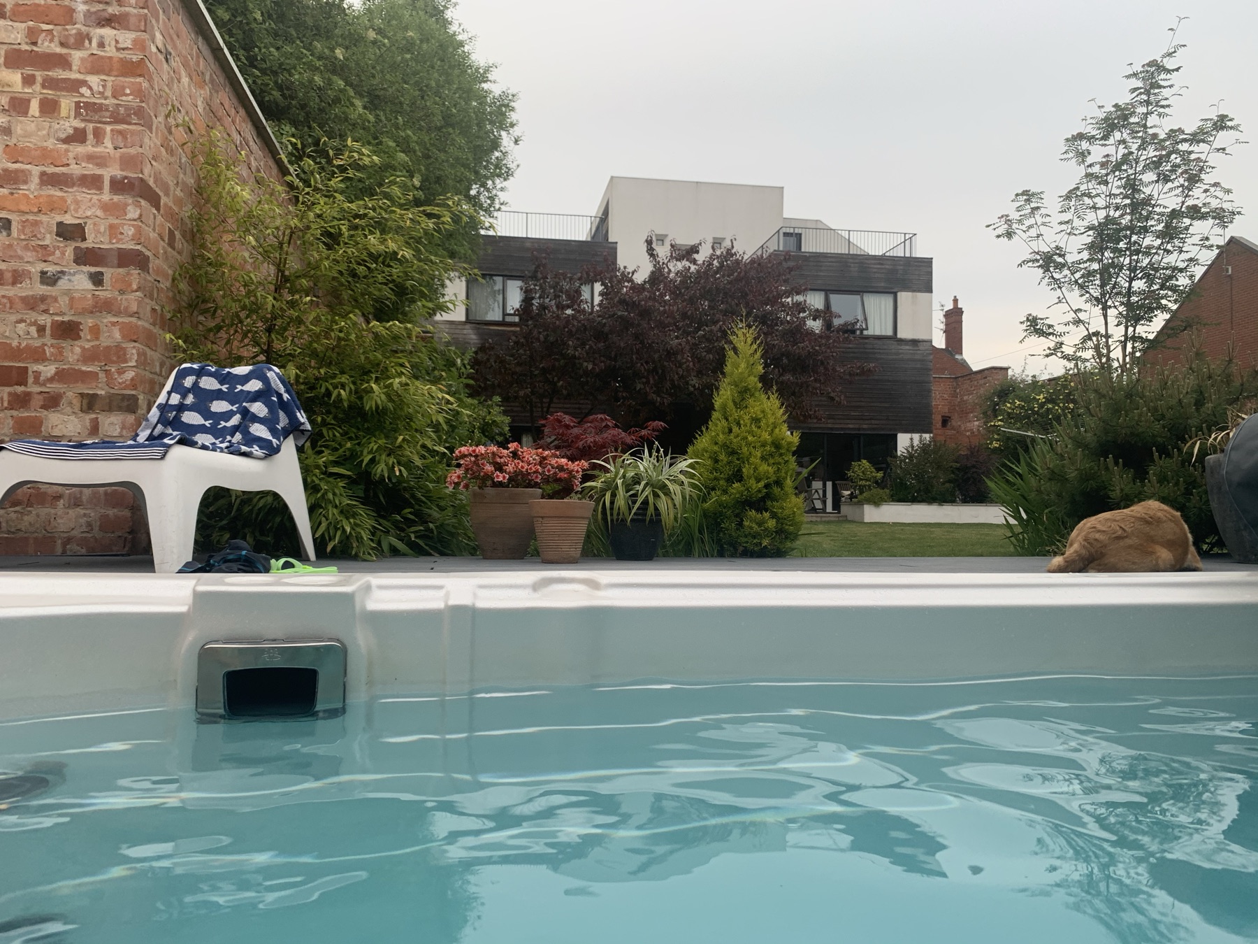 The house from the hydropool — patio, garden, a cat asleep on the deck