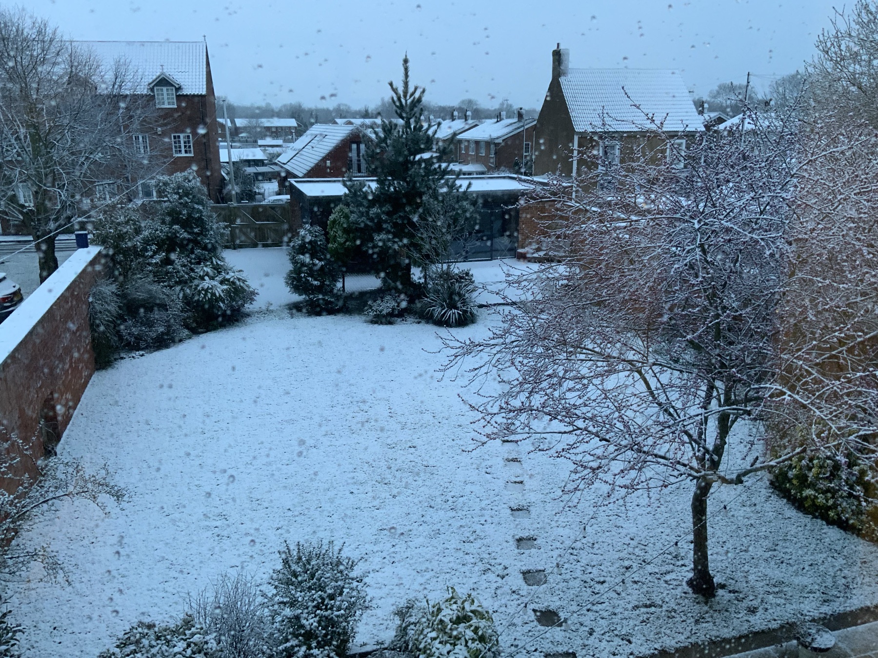 Snow falling on the walled garden