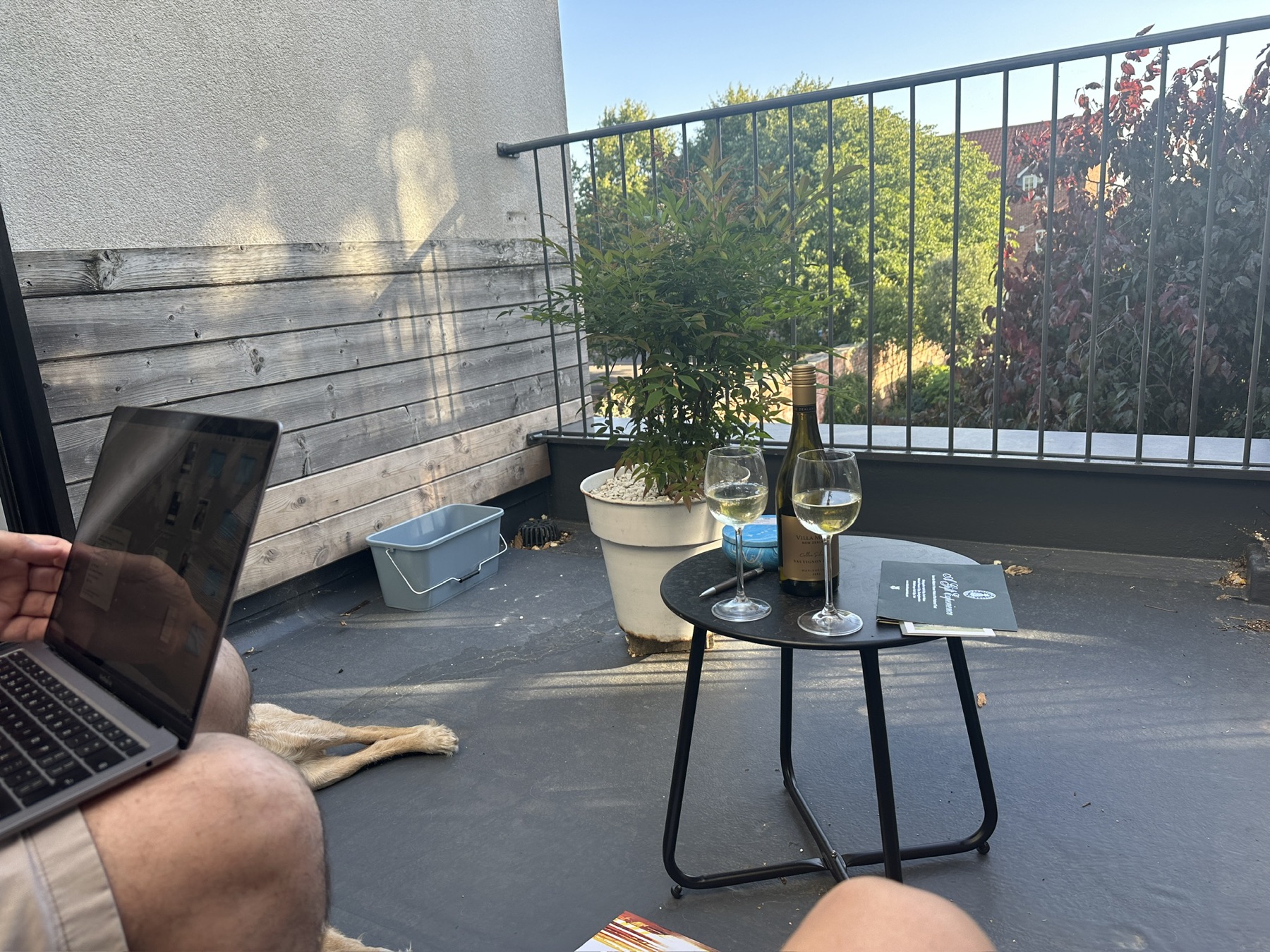 Wine and a laptop on the terrace, the dog at our feet