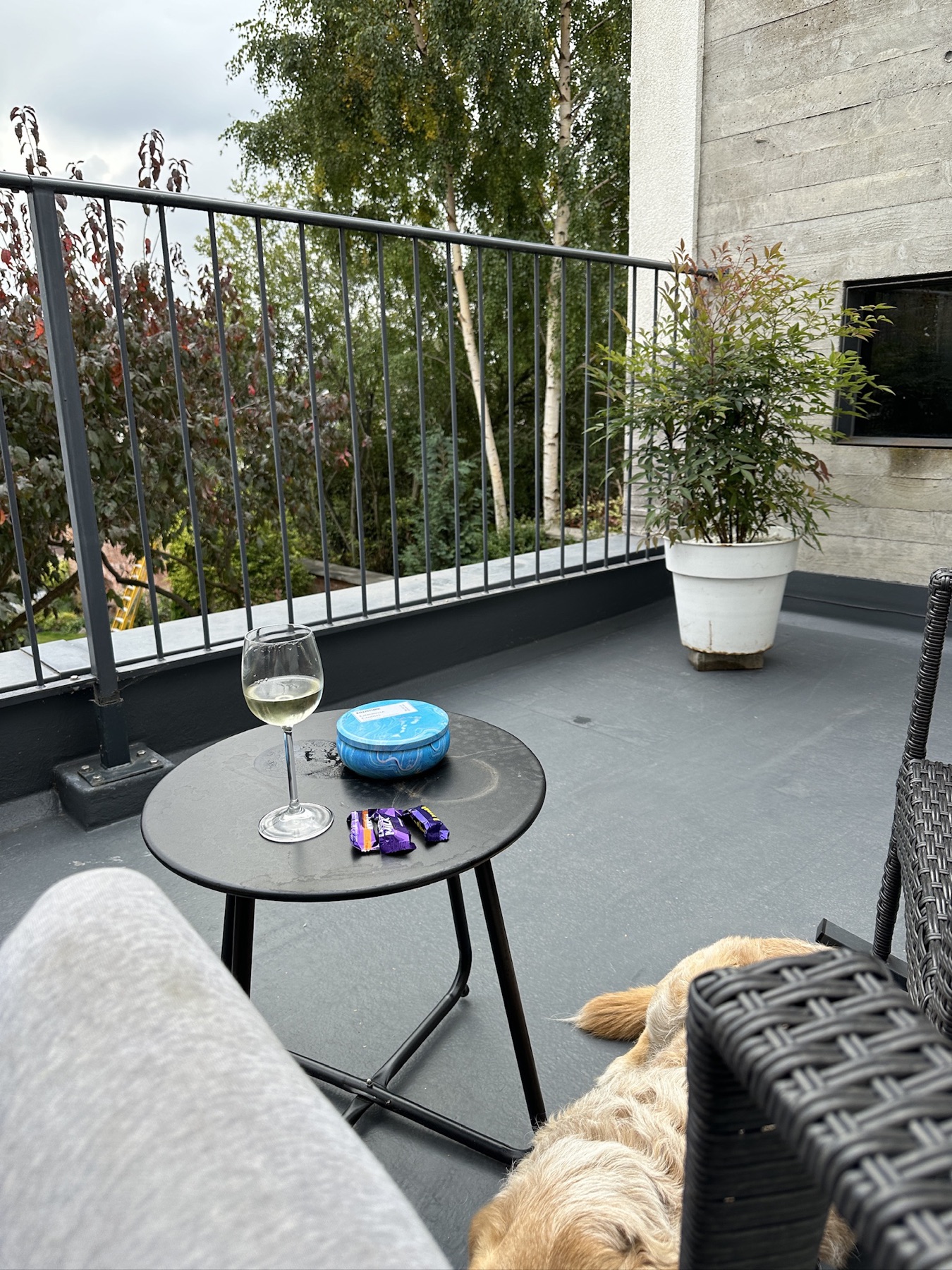 A glass of wine on the terrace, looking into the trees