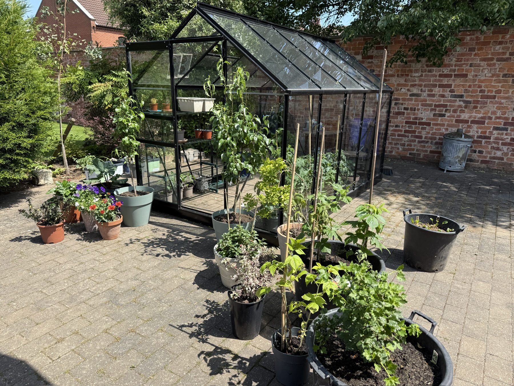 Kate’s greenhouse and the pots