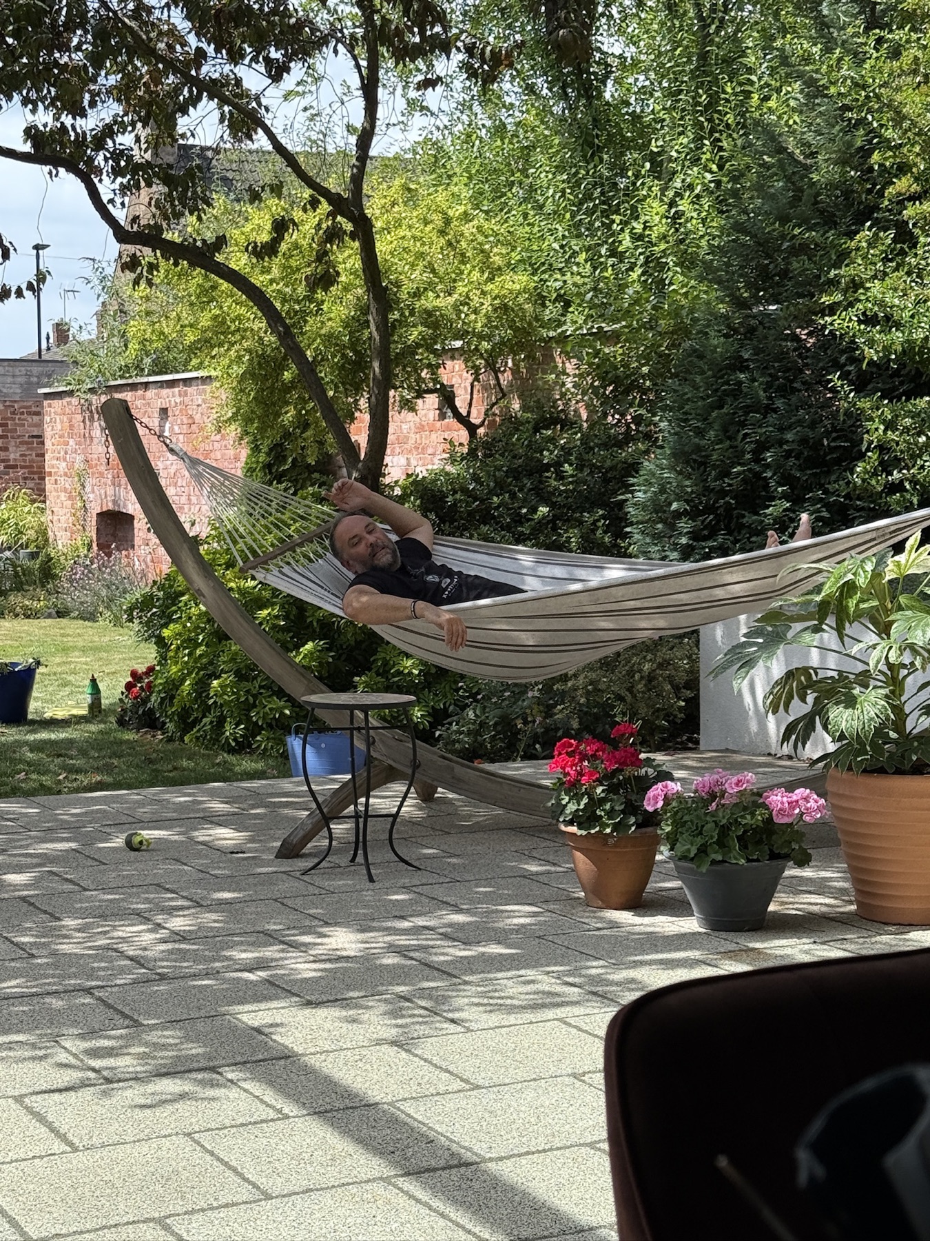 In the hammock in the garden