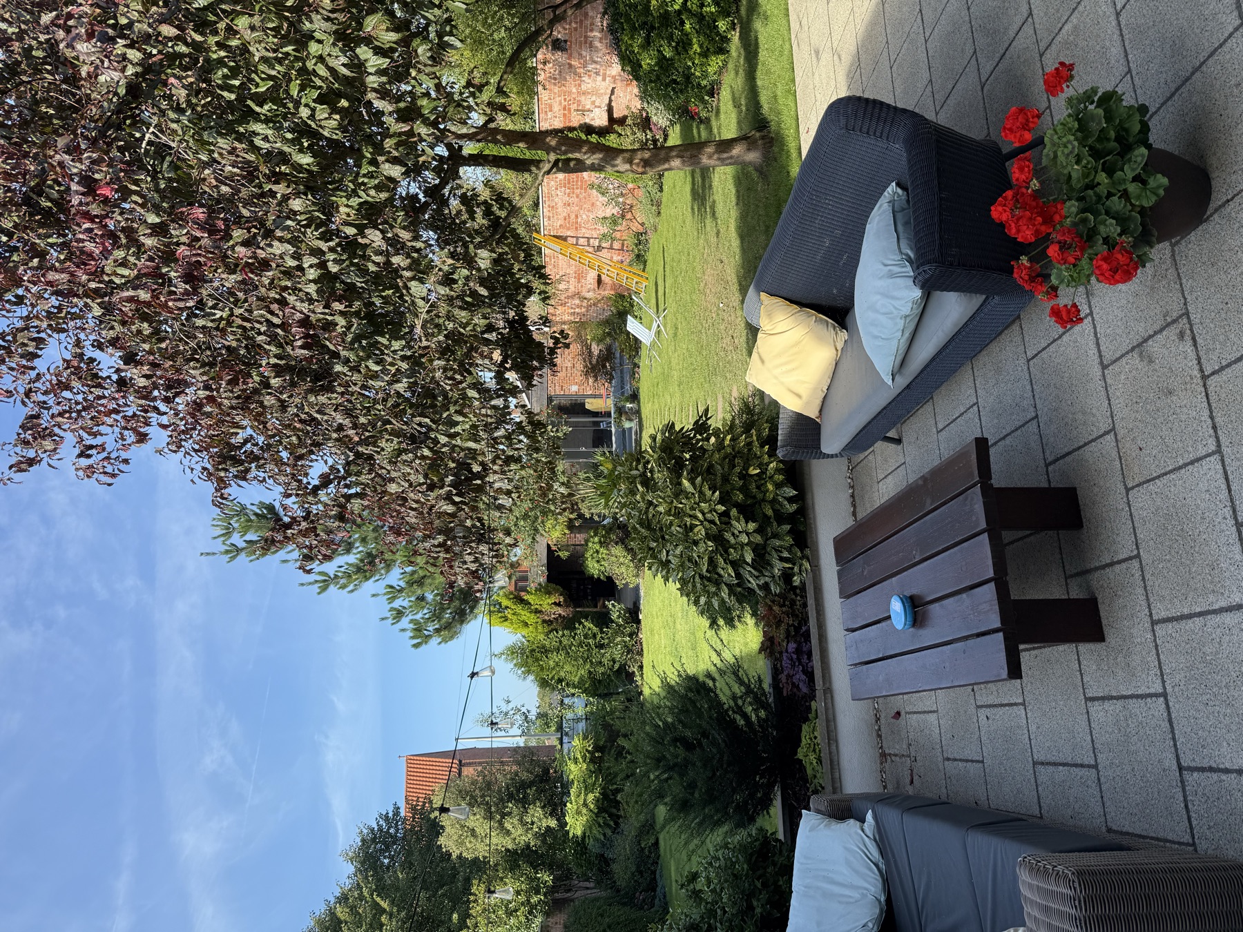 Kate’s garden in summer: lawn, sofas, festoon lights, the copper beech